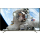 4K televízory Thomson