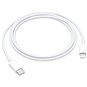 Dátový kábel Apple USB-C/Lightning kábel (1 m) - Datový kabel