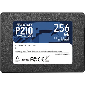 Patriot P210 256GB