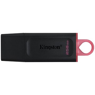 Kingston DataTraveler Exodia 256 GB