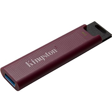 Kingston DataTraveler Max USB-A 1 TB