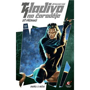 Kladivo na čaroděje 07: Síť přízraků