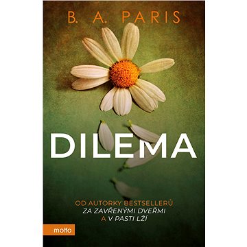 Dilema - Elektronická kniha