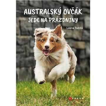 Australský ovčák jede na prázdniny