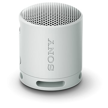 Sony SRS-XB100 sivý