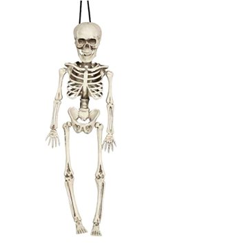 Skeleton kostlivec na zavesenie 40 cm