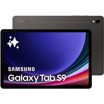 Samsung Galaxy Tab S9 WiFi 8 GB/128 GB grafitový