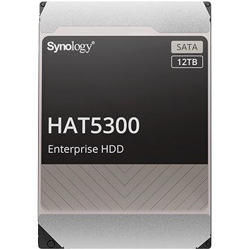 Synology HAT5300-12T