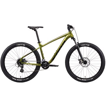 green kona mountain bike