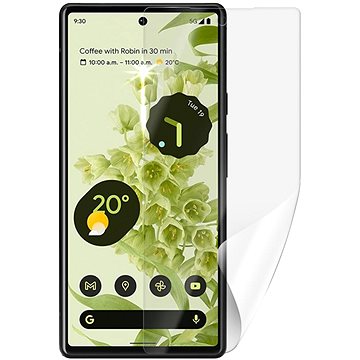 Screenshield Anti-Bacteria GOOGLE Pixel 6 5G na displej