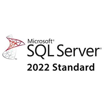 Microsoft SQL Server 2022 – 1 User CAL Charity