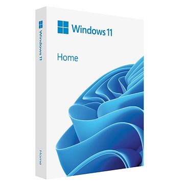 Microsoft Windows 11 Home, CZ, USB (FPP)