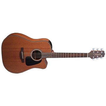 Takamine GD11MCE-NS