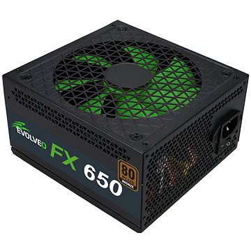 EVOLVEO FX 650