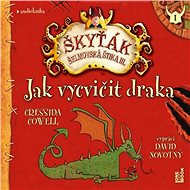 Jak vycvičit draka - Audiokniha MP3