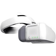 DJI Goggles