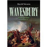 Wavesbury: Indiánské Vánoce - Elektronická kniha
