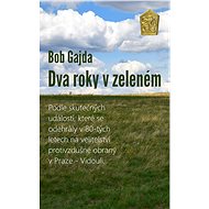 Dva roky v zeleném - Elektronická kniha