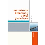 Mezinárodní bezpečnost v době globalizace - E-kniha