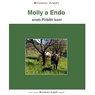 Molly a Endo - E-kniha