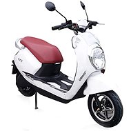 SXT Gekko V2