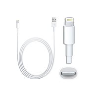 Dátový kábel Lightning to USB Cable 1 m (Bulk) - Datový kabel