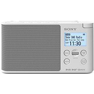 Sony XDR-S41DW