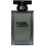 KARL LAGERFELD Lagerfeld for Him EdT 100 ml - Pánska toaletná voda