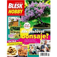 Blesk Hobby - Elektronický časopis