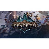 Pillars of Eternity II: Deadfire (PC) DIGITAL - Hra na PC