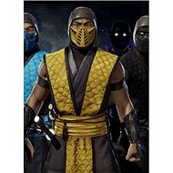 Mortal Kombat 11 Klassic Arcade Ninja Skin Pack 1 (PC) Steam DIGITAL - Herný doplnok