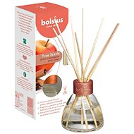 BOLSIUS True Scents Difuzér Apple Cinnamon 45 ml