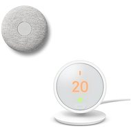 Google Nest E