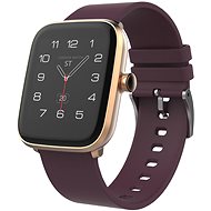 Smart hodinky iGET FIT F20 Gold