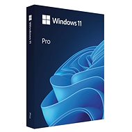 Microsoft Windows 11 PRO, EN, USB (FPP) - Operating System