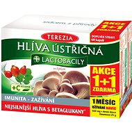 TEREZIA Hliva + lactobacily 60 + 60 kapsúl - Hliva ustricová