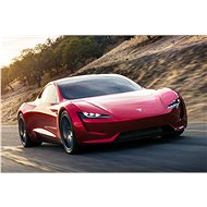 TESLA Roadster
