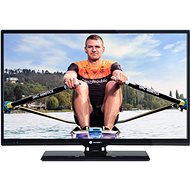 28" Gogen TVH 28P266 T