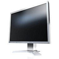 21" EIZO FlexScan S2133-GY
