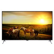65" Orava LT-1653