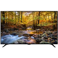 75" Orava LT-1900