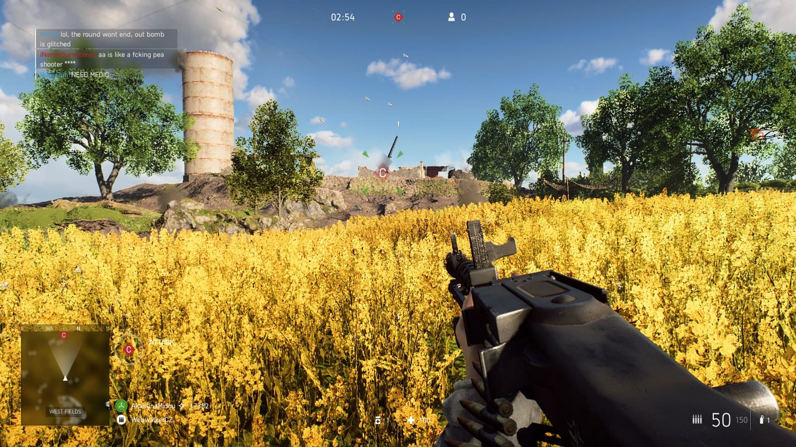 Battlefield V; gameplay: pole