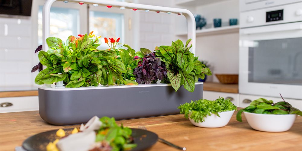 inteligentná domácnosť; inteligentná dovolenka; rady a tipy; smart home