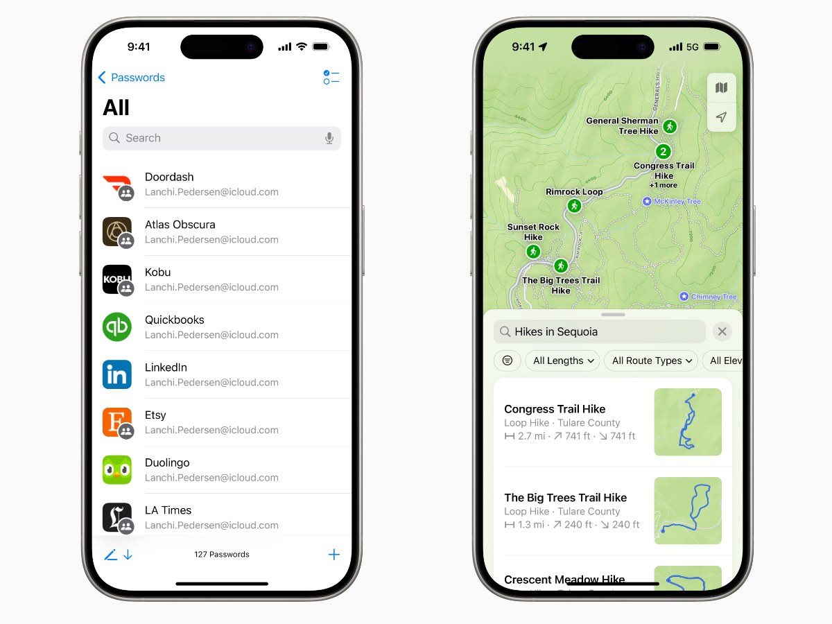 iOS 18, heslá