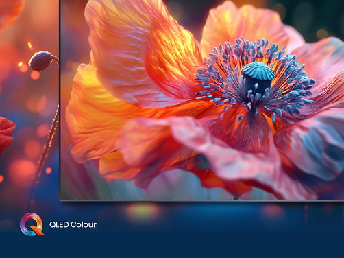 QLED televízie Hisense