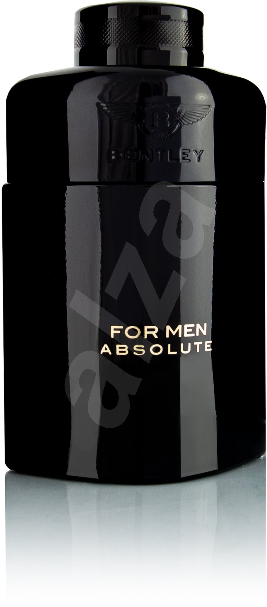 BENTLEY Bentley For Men Absolute EdP 100 ml Parfumovaná voda Trendy