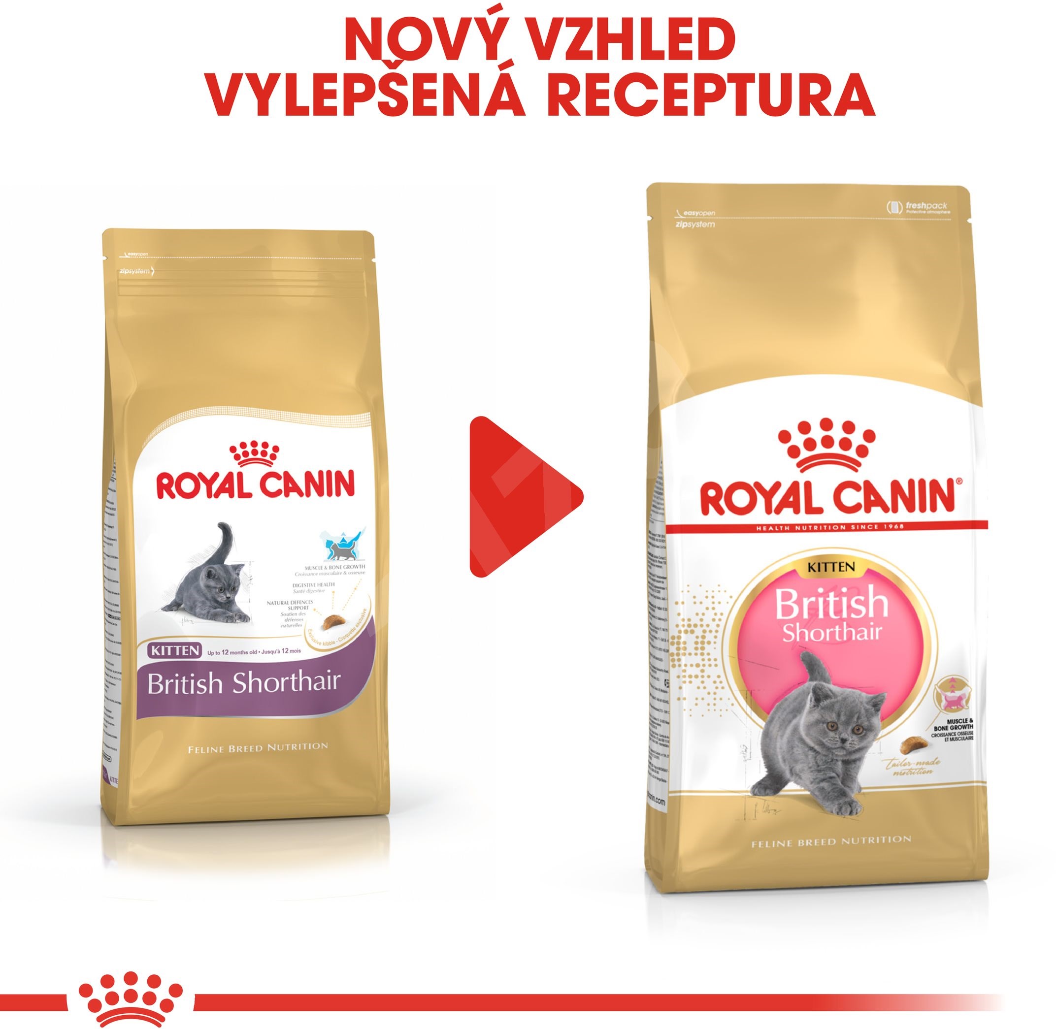 Royal Canin British Shorthair Kitten 0,4 kg - Granule pre mačiatka