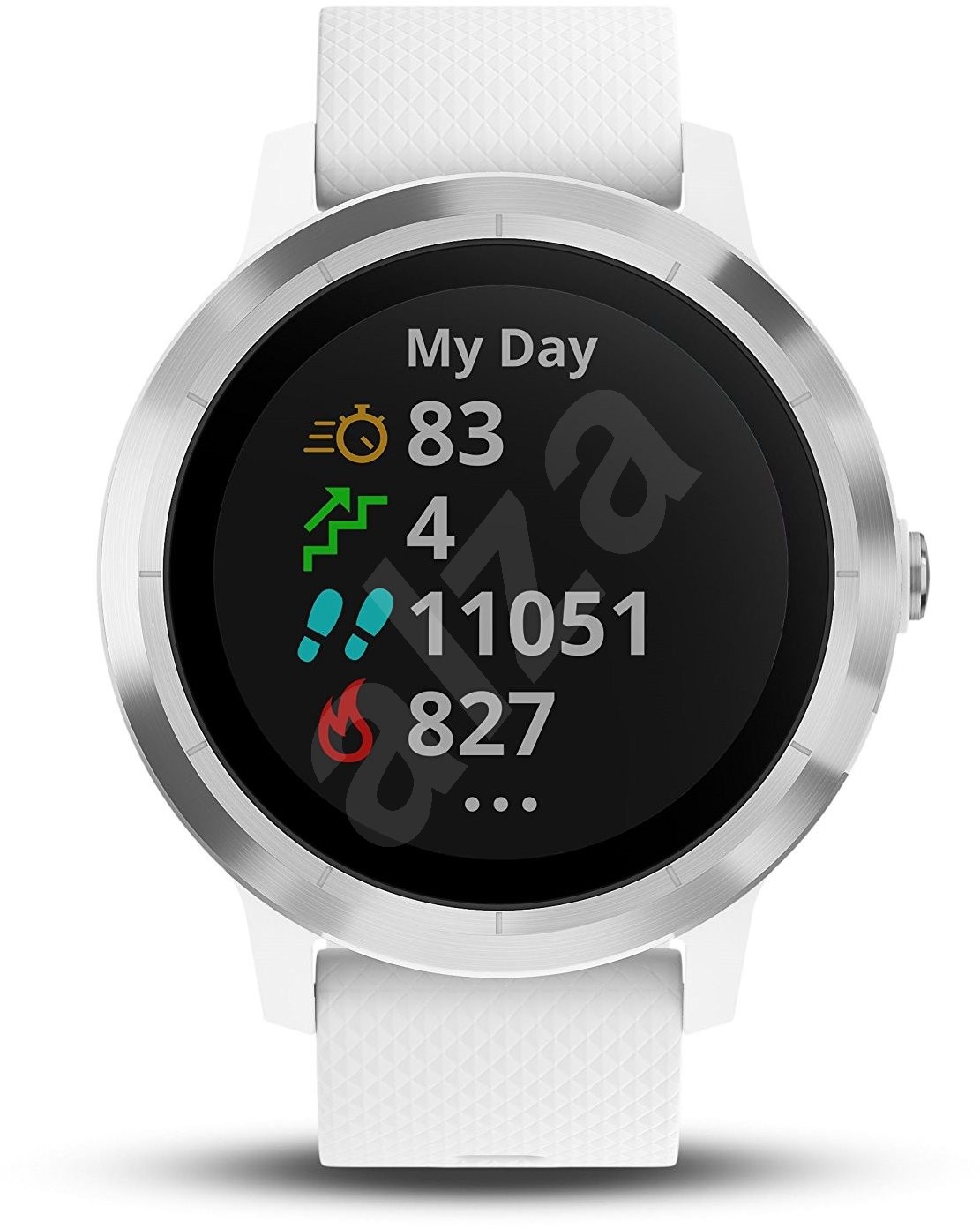 vivoactive 3 polar h10