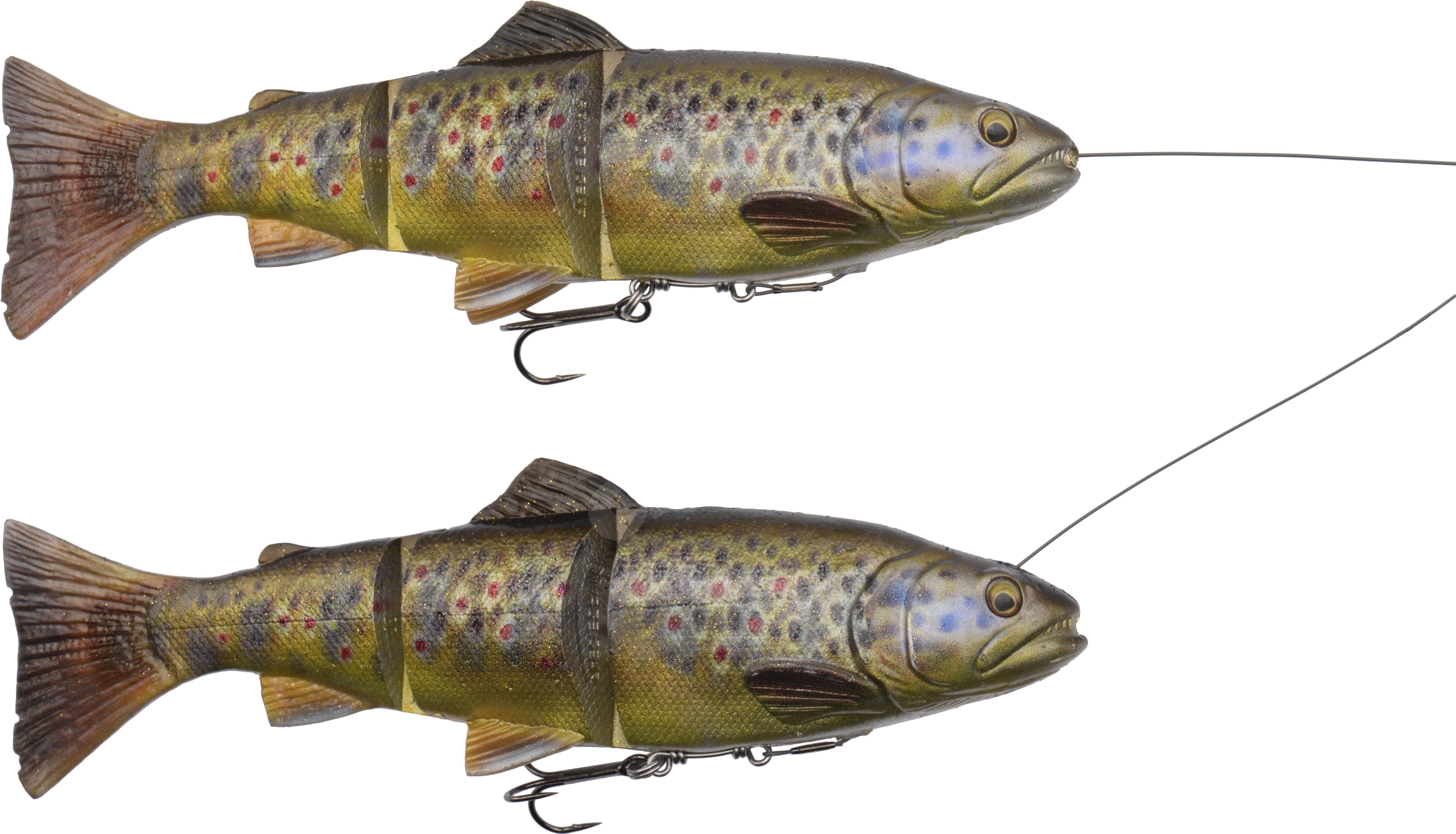 SAVAGE GEAR - 4D LINE THRU PULSE TAIL TROUT SS 20cm 102g Chub – Wild Gear