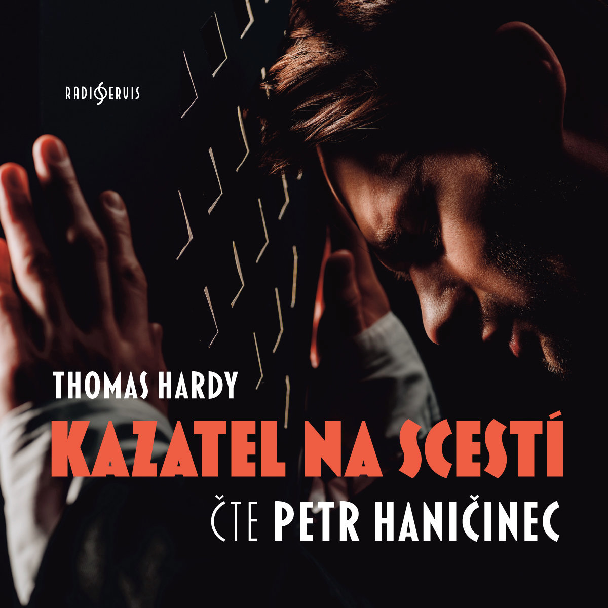Thomas Hardy: Kazatel na scestí